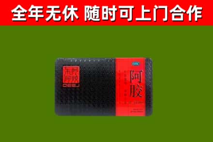 青白江区回收阿胶
